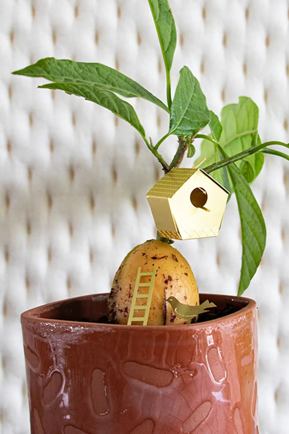 Tiny Birdhouse for your Plants