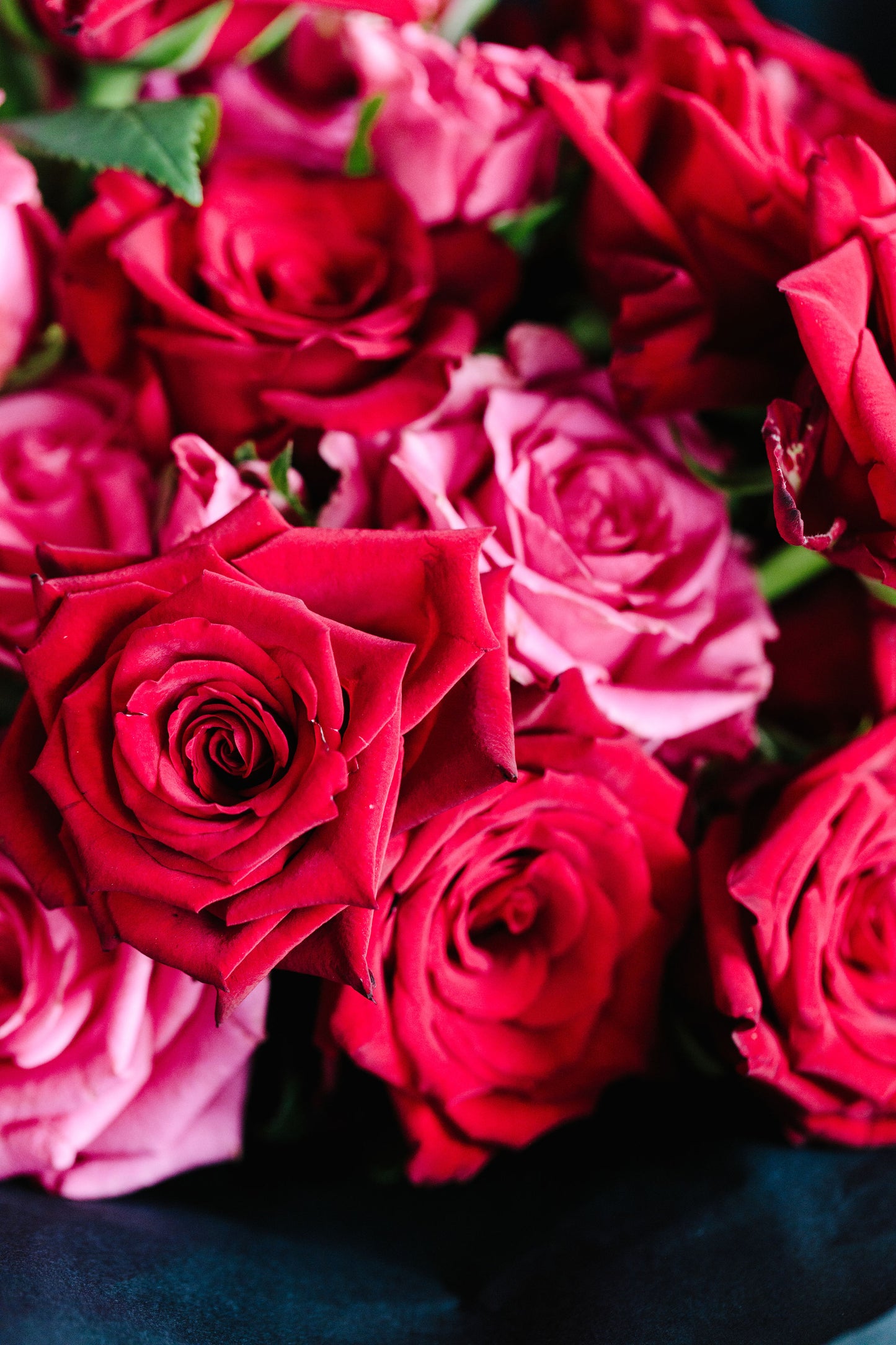 Roses Only - Valentine's Only