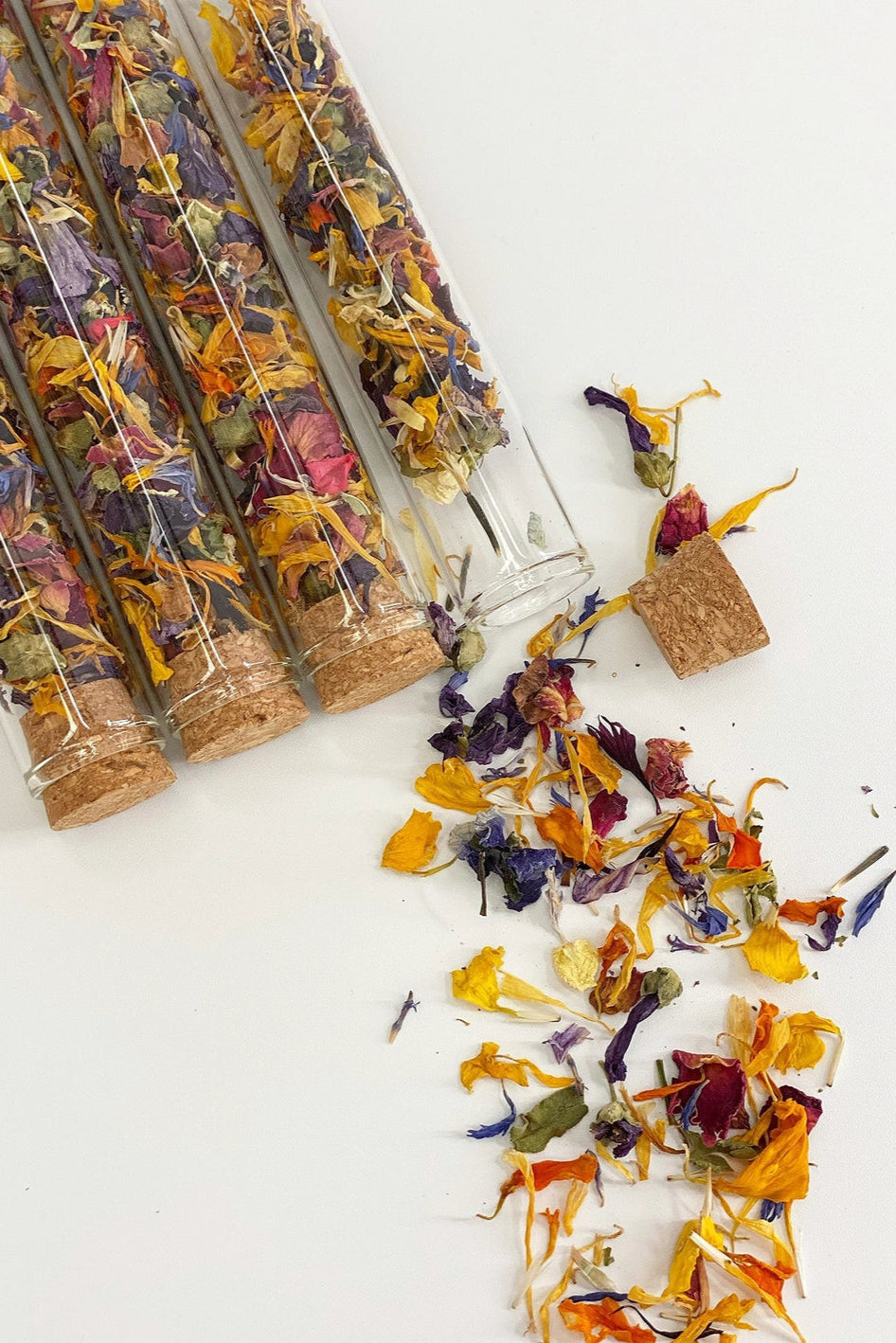 Colorful dried flowers in glass tubes on a white background