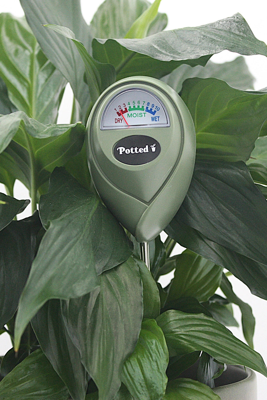 Indoor Moisture Meter