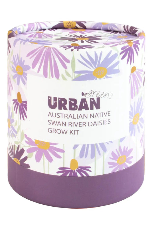 Native Swan Daisies Grow Kit