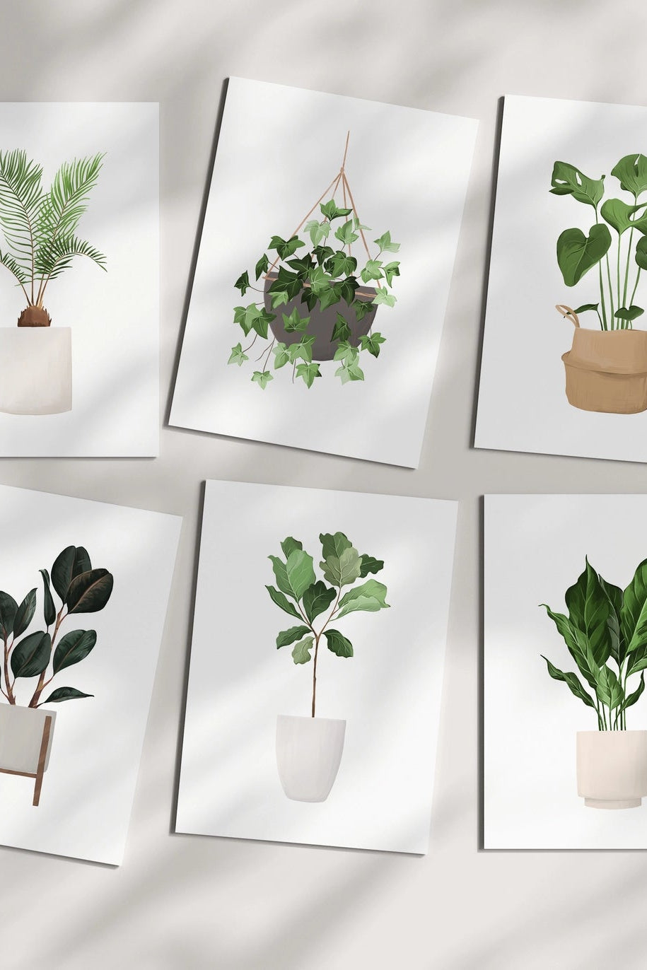 Popsy Press set of 6 gift cards