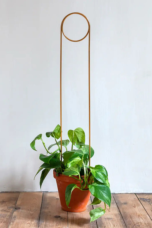 Golden Plant Stake – Pin