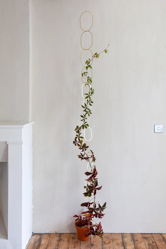 Gold Brass Chain - Plant Support For Climbing Plants