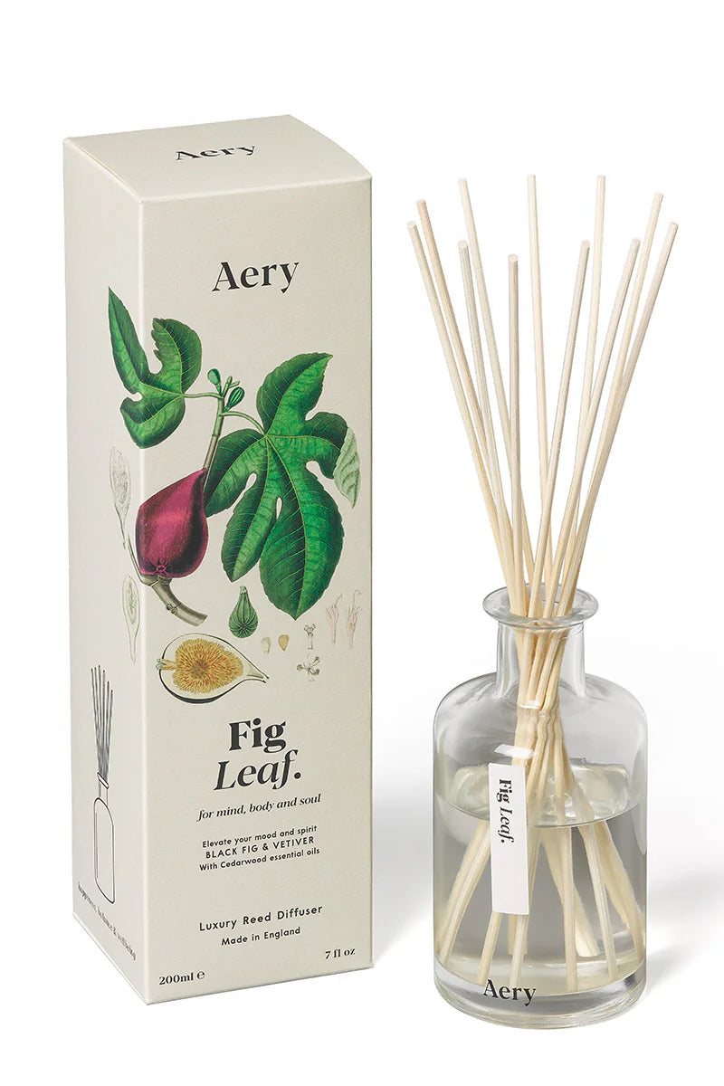 Luxury Reed Diffuser - Fig Leaf – Little Triffids Flowers