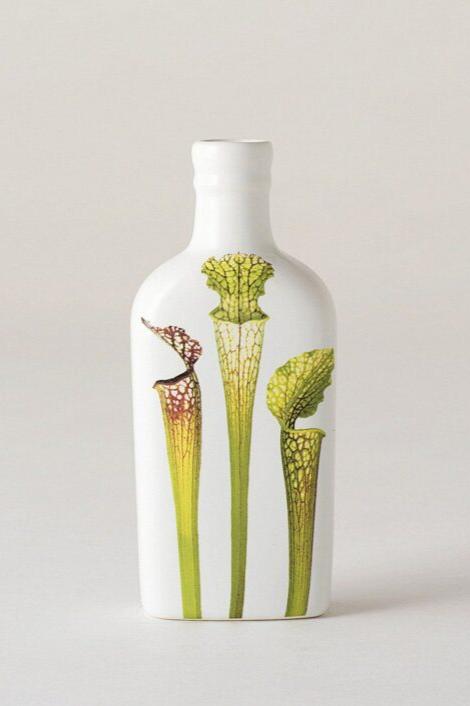 Botanical Bottle - Pitcher Plant