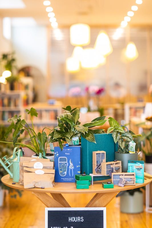 Little Triffids Flowers Gift Card