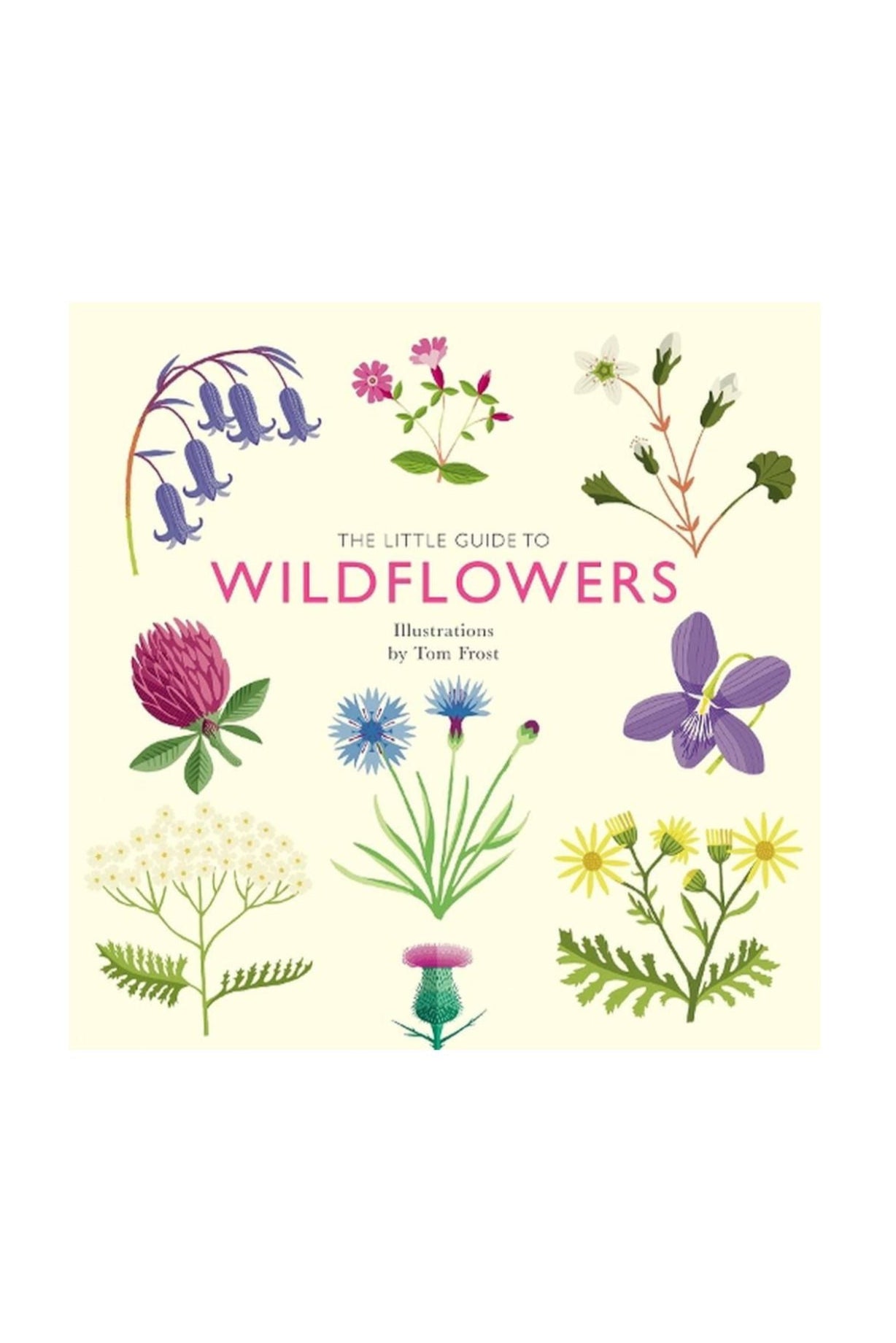 The Little Guide to Wildflowers – Little Triffids Flowers
