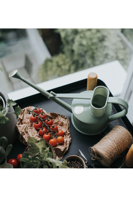 Haws Small Plastic Watering Can - Sage