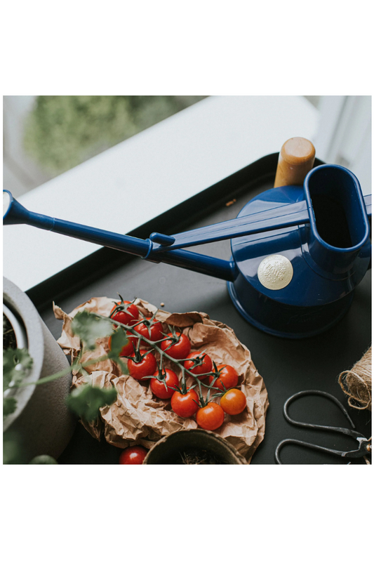 Haws Small Plastic Watering Can - Blue