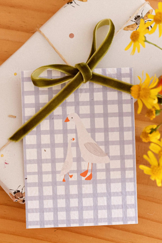 Eco-Luxe plantable gift tag - Gingham Ducks