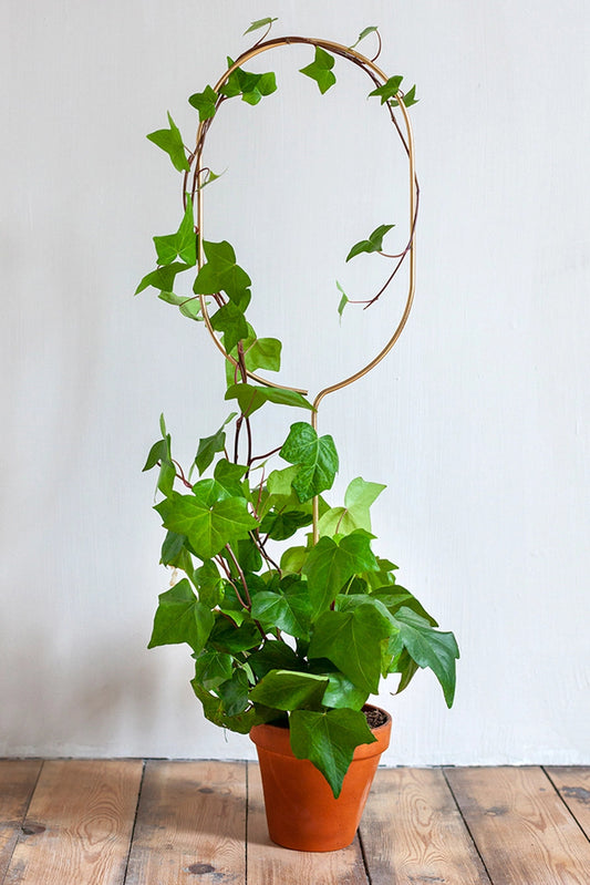 Golden Plant Stake – Arch