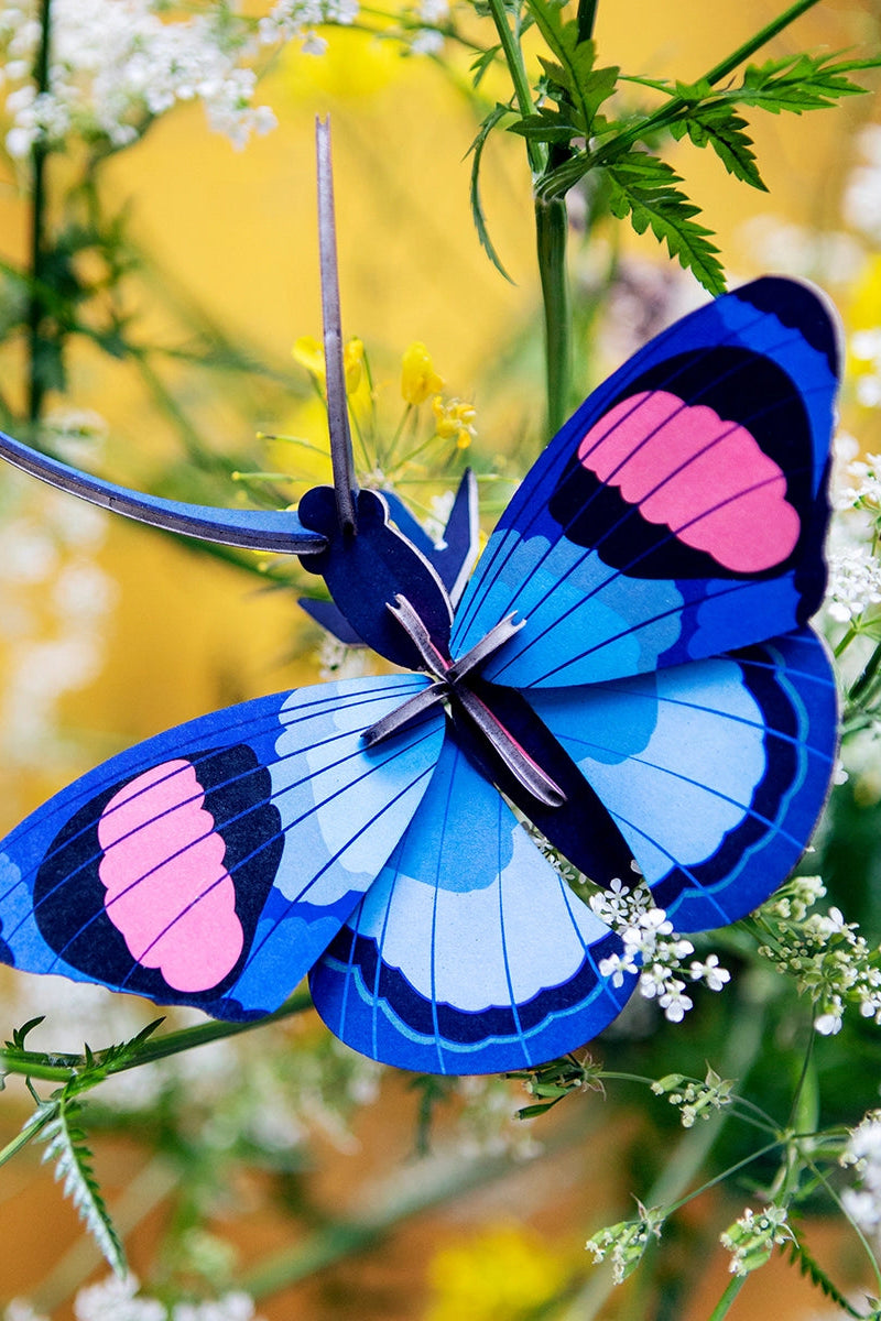 Wall Art - Peacock Butterfly