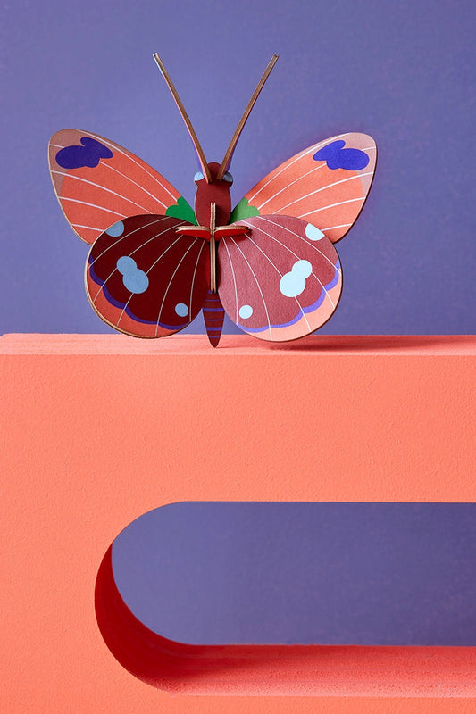 Wall Art - Delias Butterfly