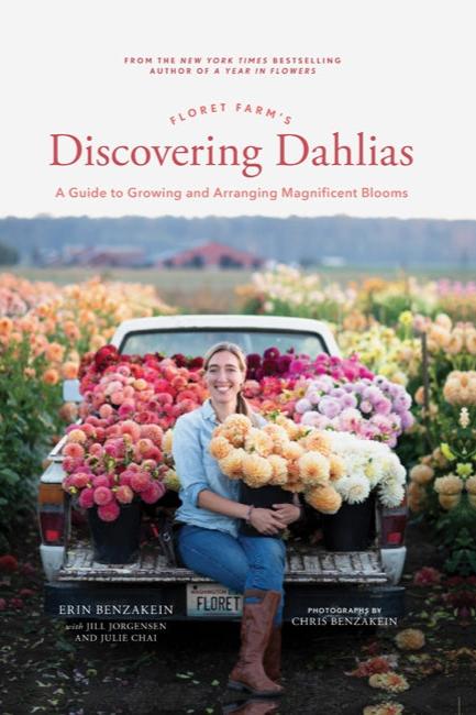 Discovering Dahlias