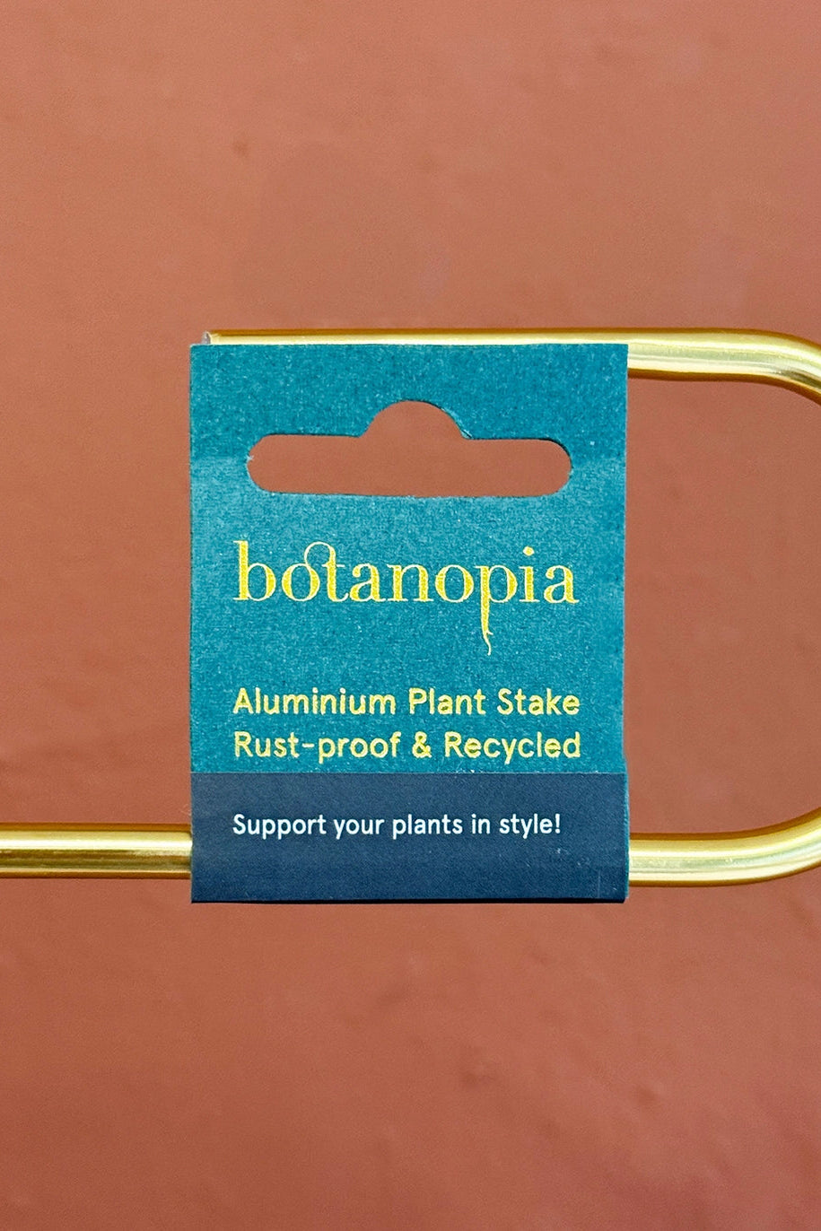 Golden Plant Stake – ZigZag