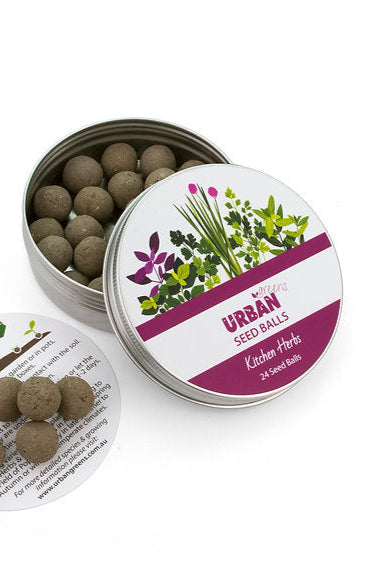 Seed Balls - Kitchen Herbs