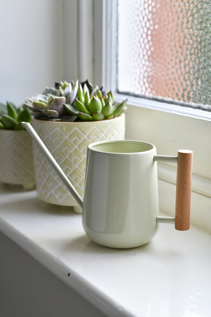 Indoor Watering Can, Mint