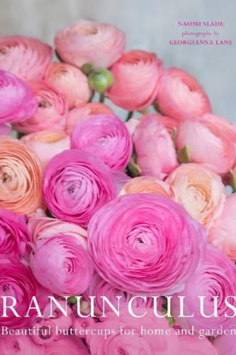 Ranunculus